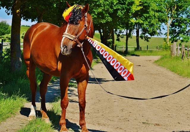 早报：上海双雄末轮争冠？这集我看过……